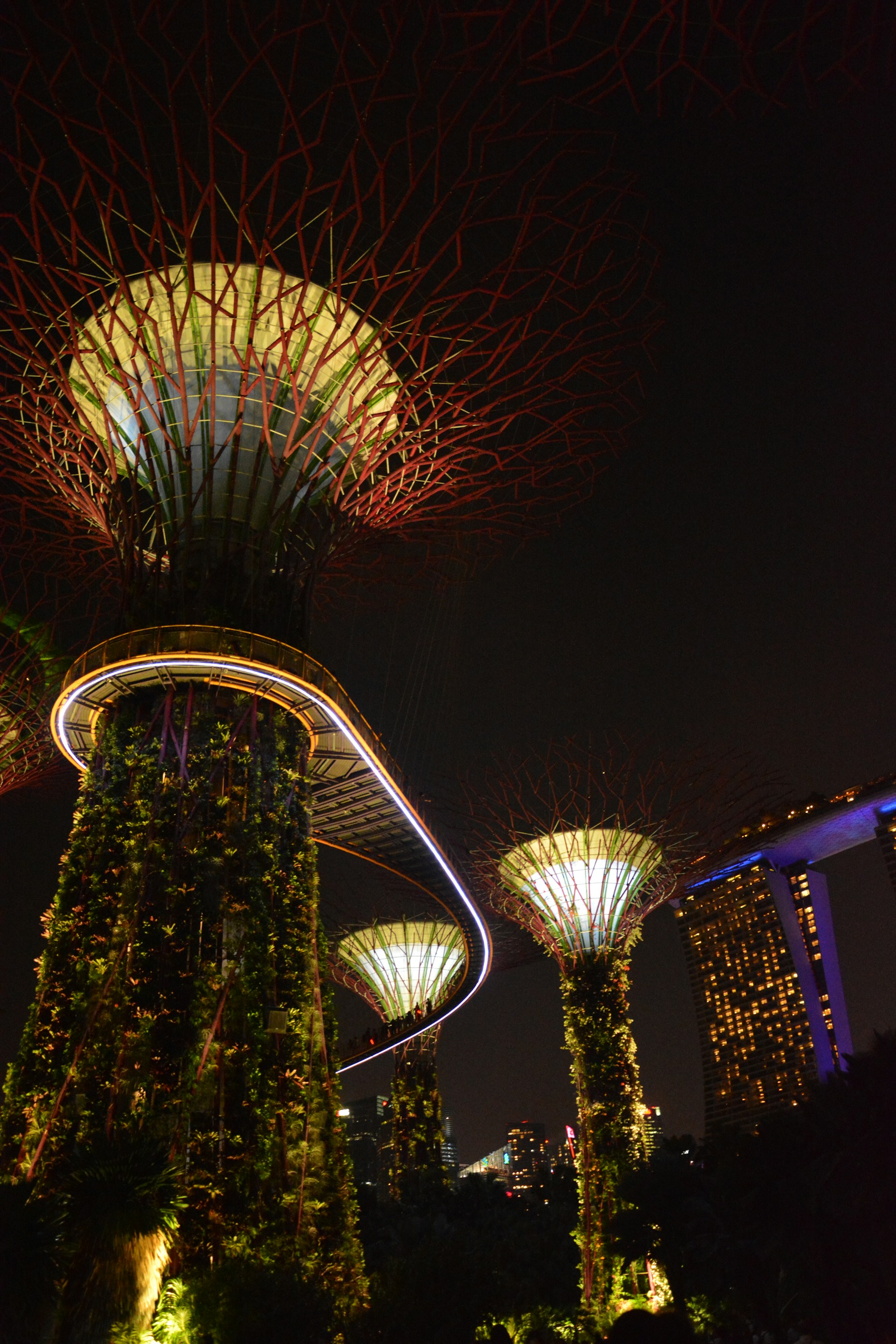 A nighttime scene featuring large, illuminated structures resembling futuristic trees with glowing canopies, surrounded by lush greenery. The structures are part of a garden or park with lights highlighting their intricate design. In the background, a building with bright, yellow-lit windows is visible, enhancing the urban atmosphere.
