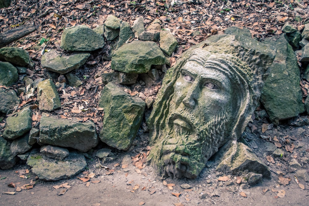 macro photography of man themed stone statue