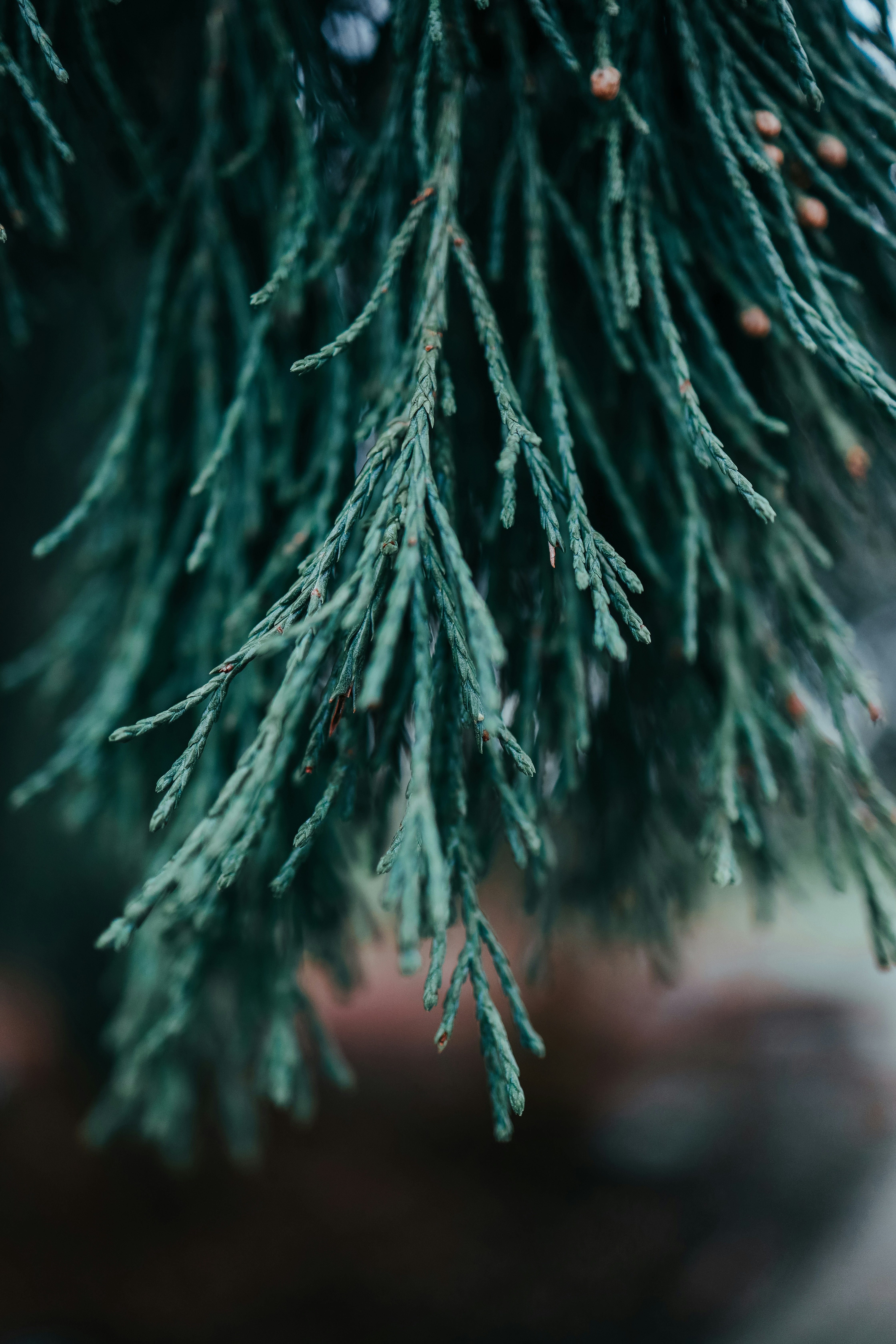 Photo by brendanhollis