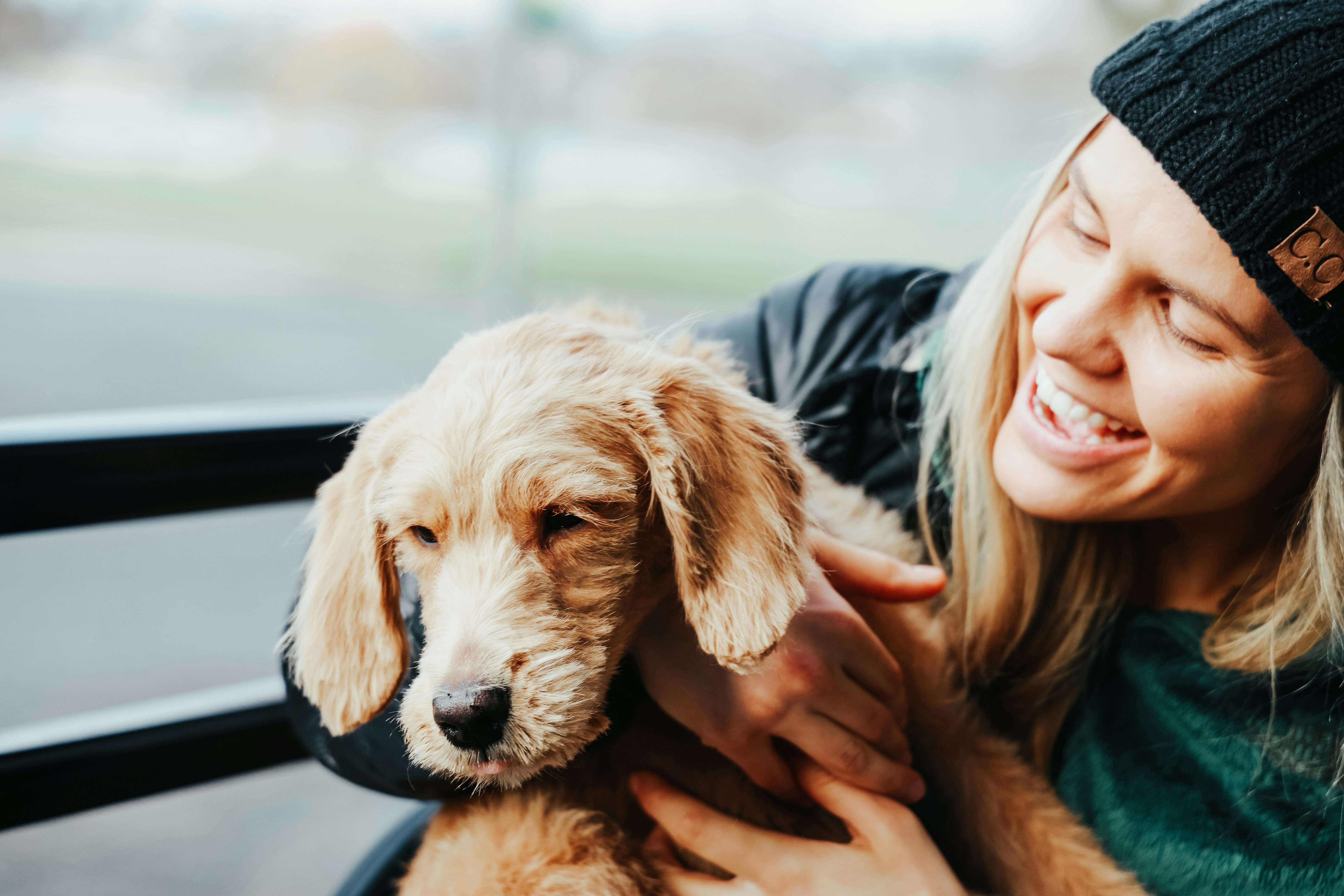 Productos para mascotas felices