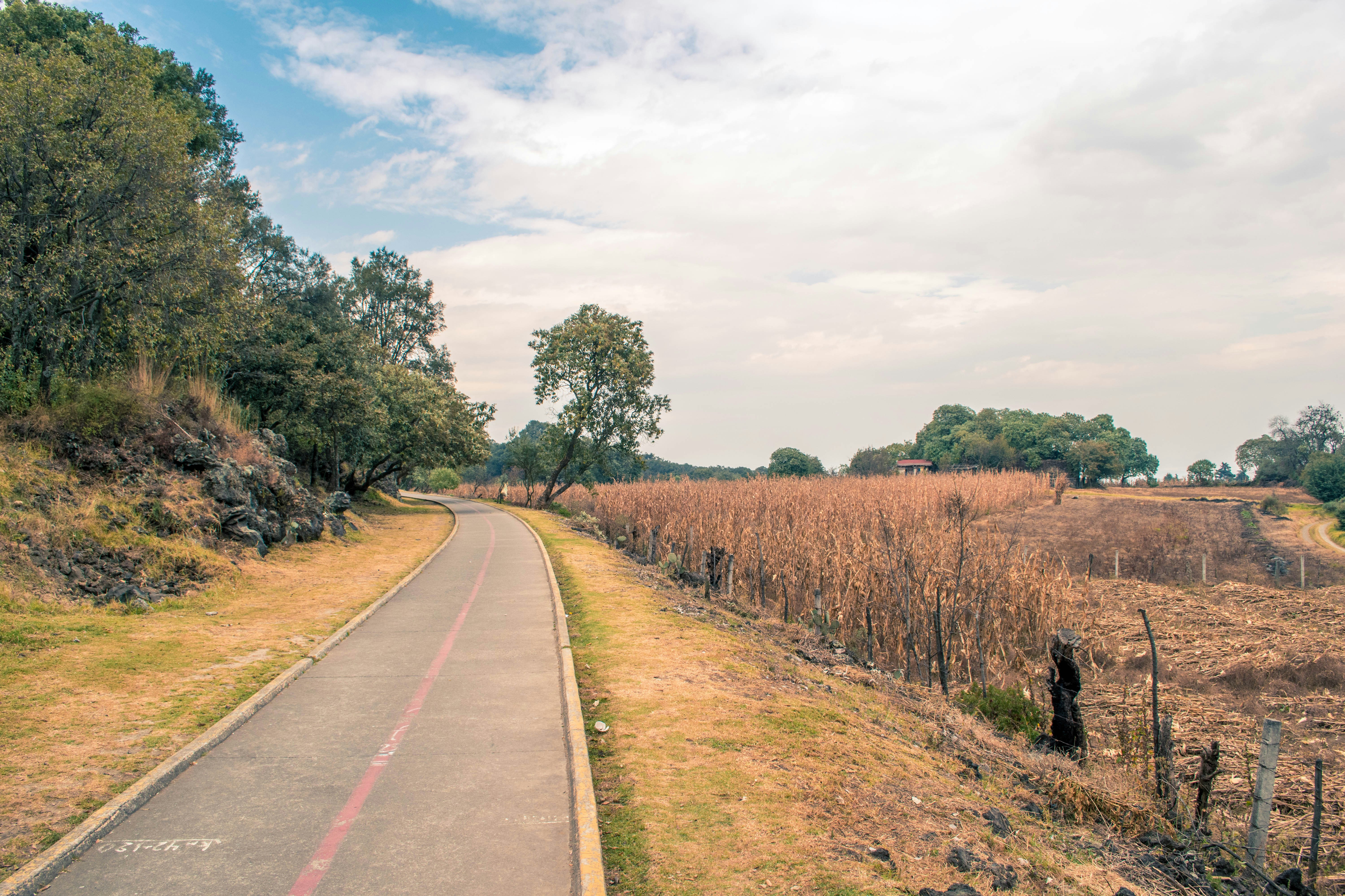 gray road near trees beside hill