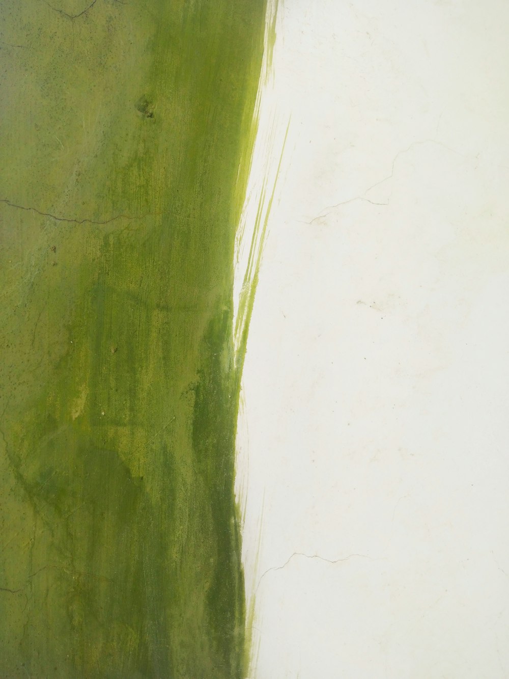 白い表面に緑のブラシストローク