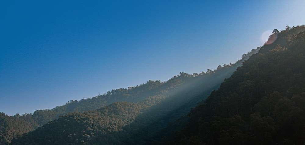 mountain with trees during daytime