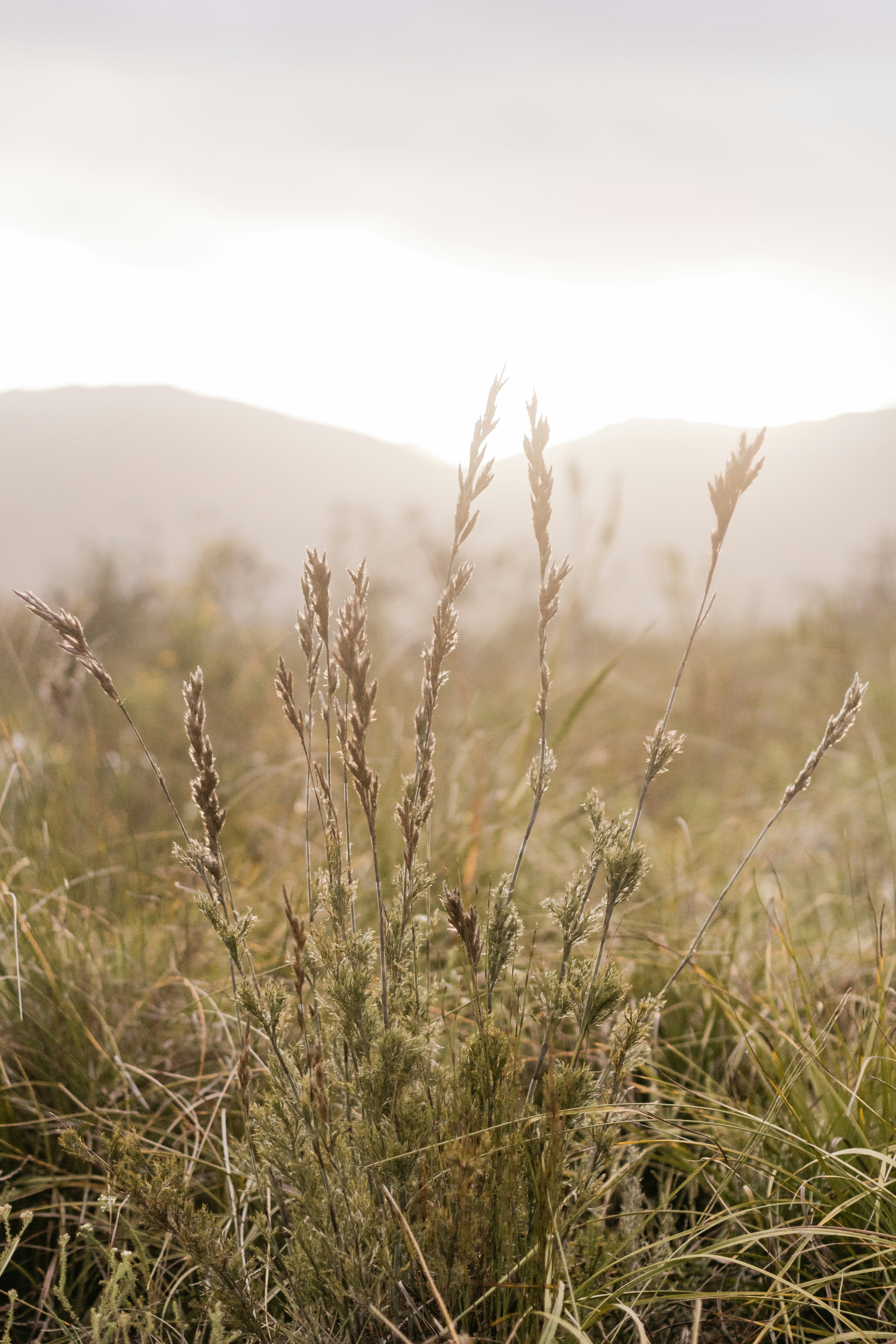 Photo by sincerelymedia