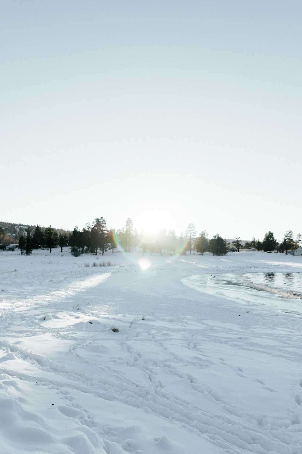 fotografia paesaggistica della neve