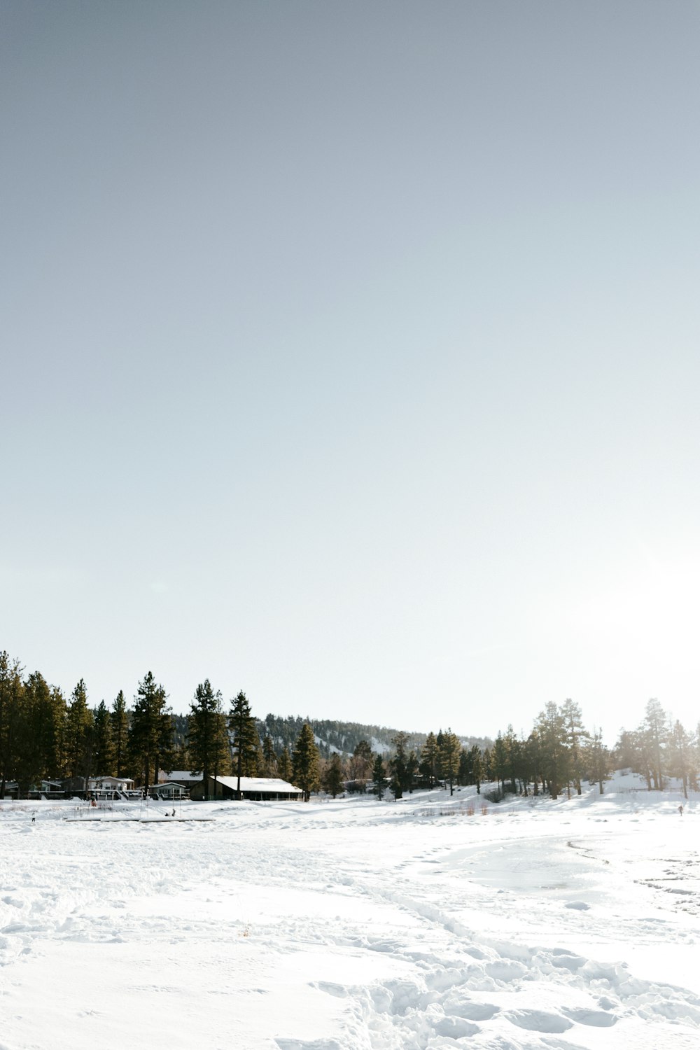 snow covered field