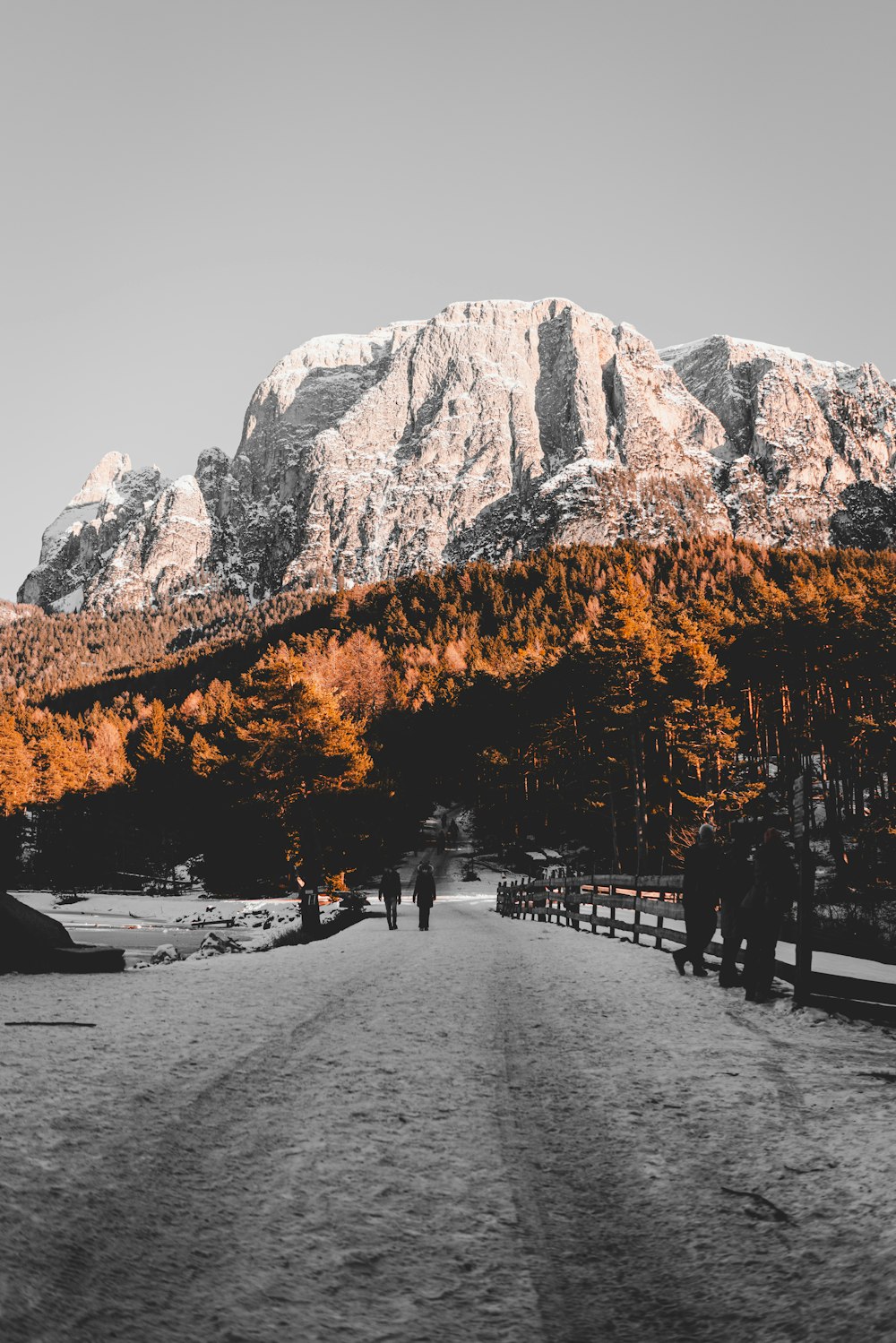 snowy mountain photograph