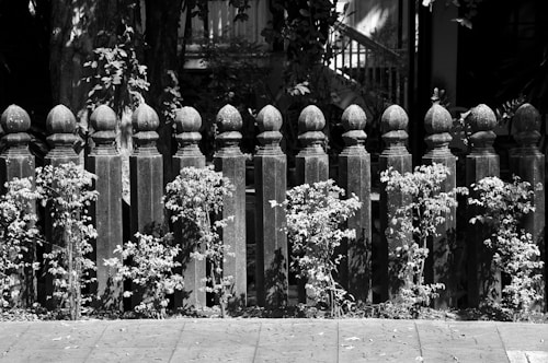 A row of dark, ornate iron fence posts topped with spherical finials is set against a background of lush foliage. The shadows cast by the sunlight add depth to the scene, and small, leafy plants grow at the base of the fence, extending upwards.