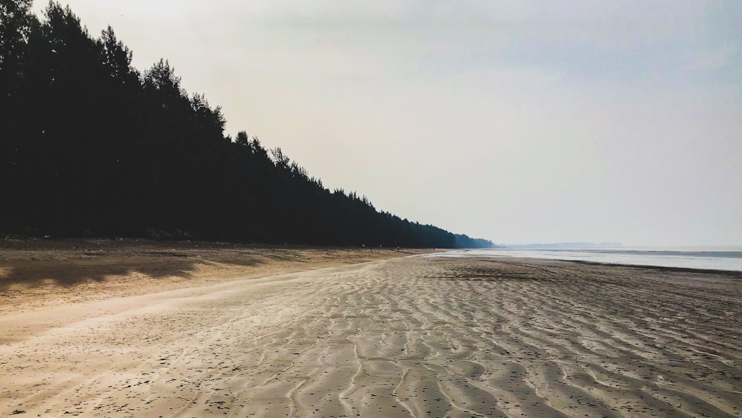 Travel Tips and Stories of Nargol Beach in India