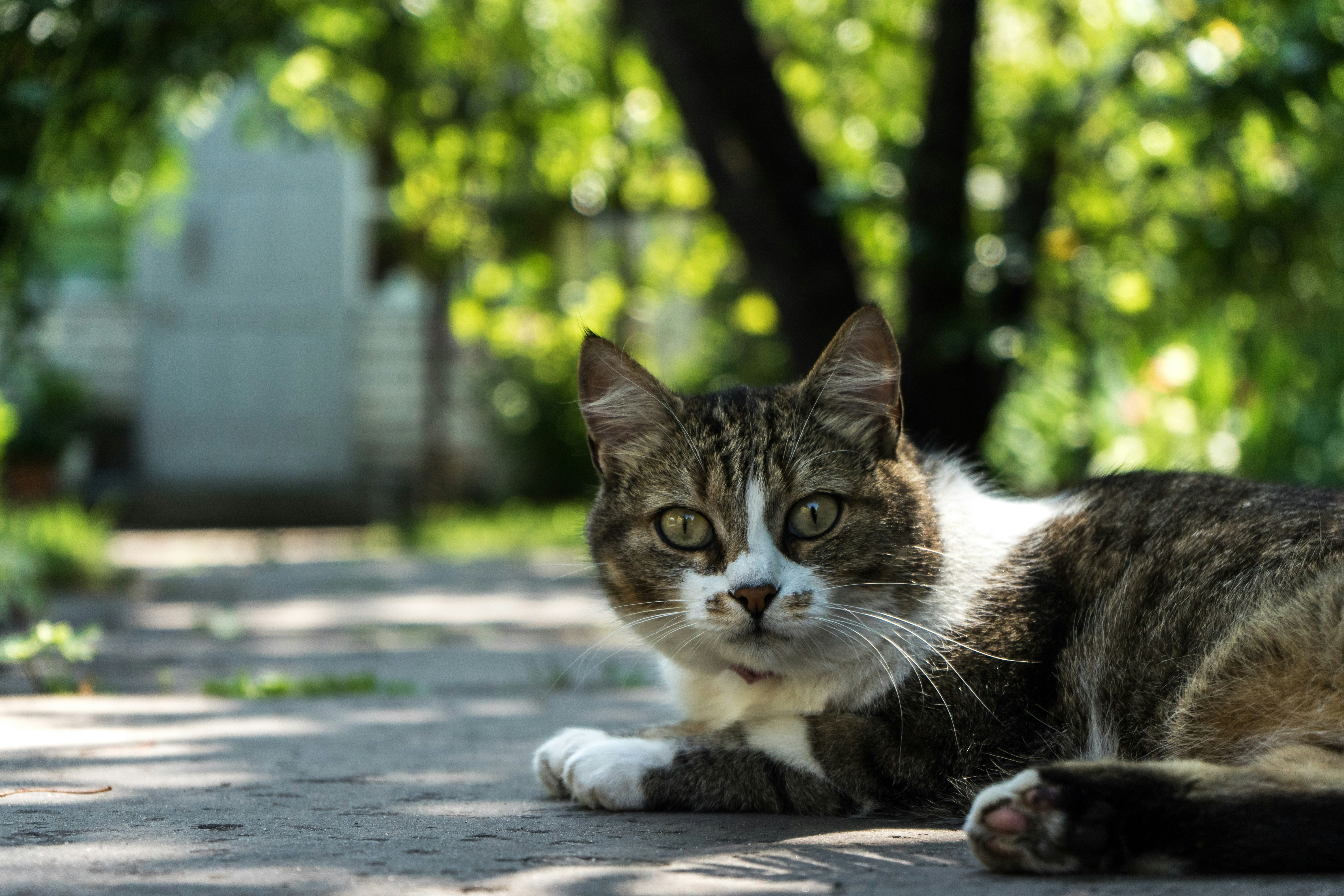 Photo by virussinside