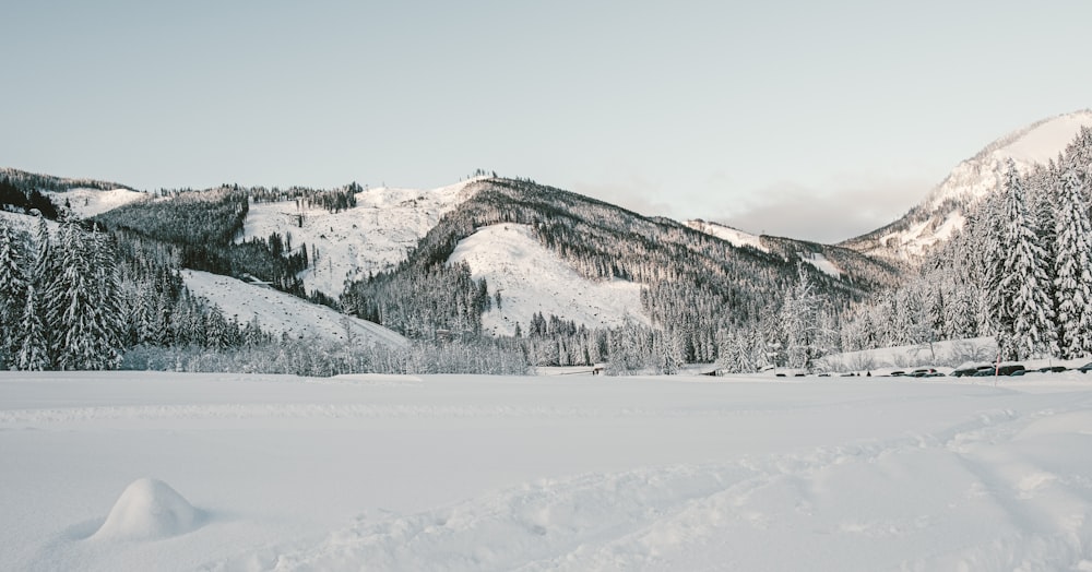 landscape photography of mountain alps