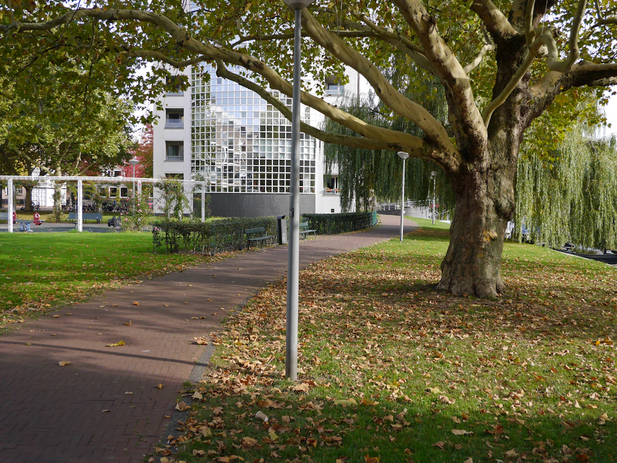 Wandelroute door Wandelpad langs huizen aan het water Bomen langs het water met groen