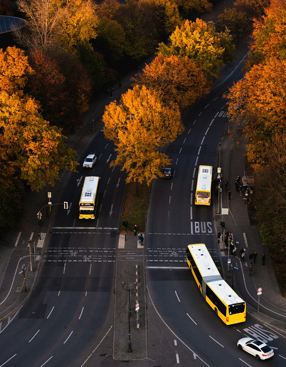 Autobuses en carretera durante el día