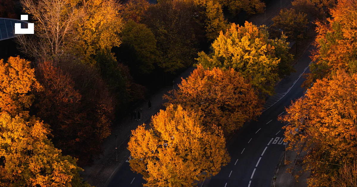 Foto zum Thema Busse tagsüber auf der Straße – Kostenloses Bild zu ...