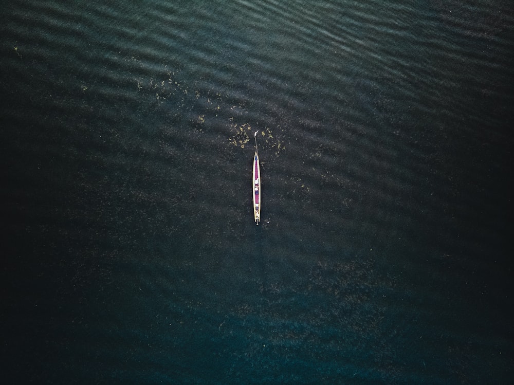 boat floating on body of water
