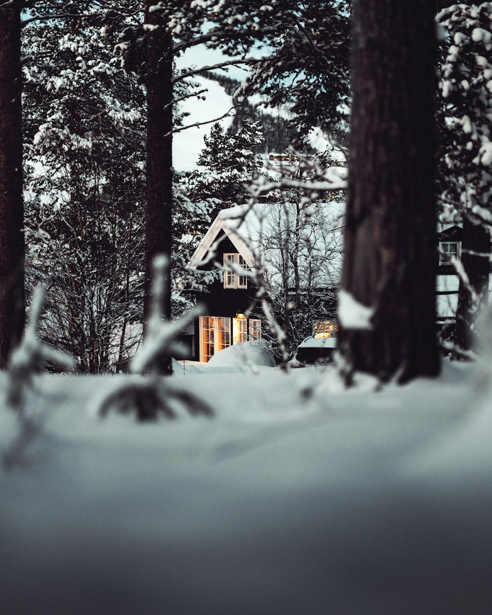 shallow focus photo of black cabin during daytime