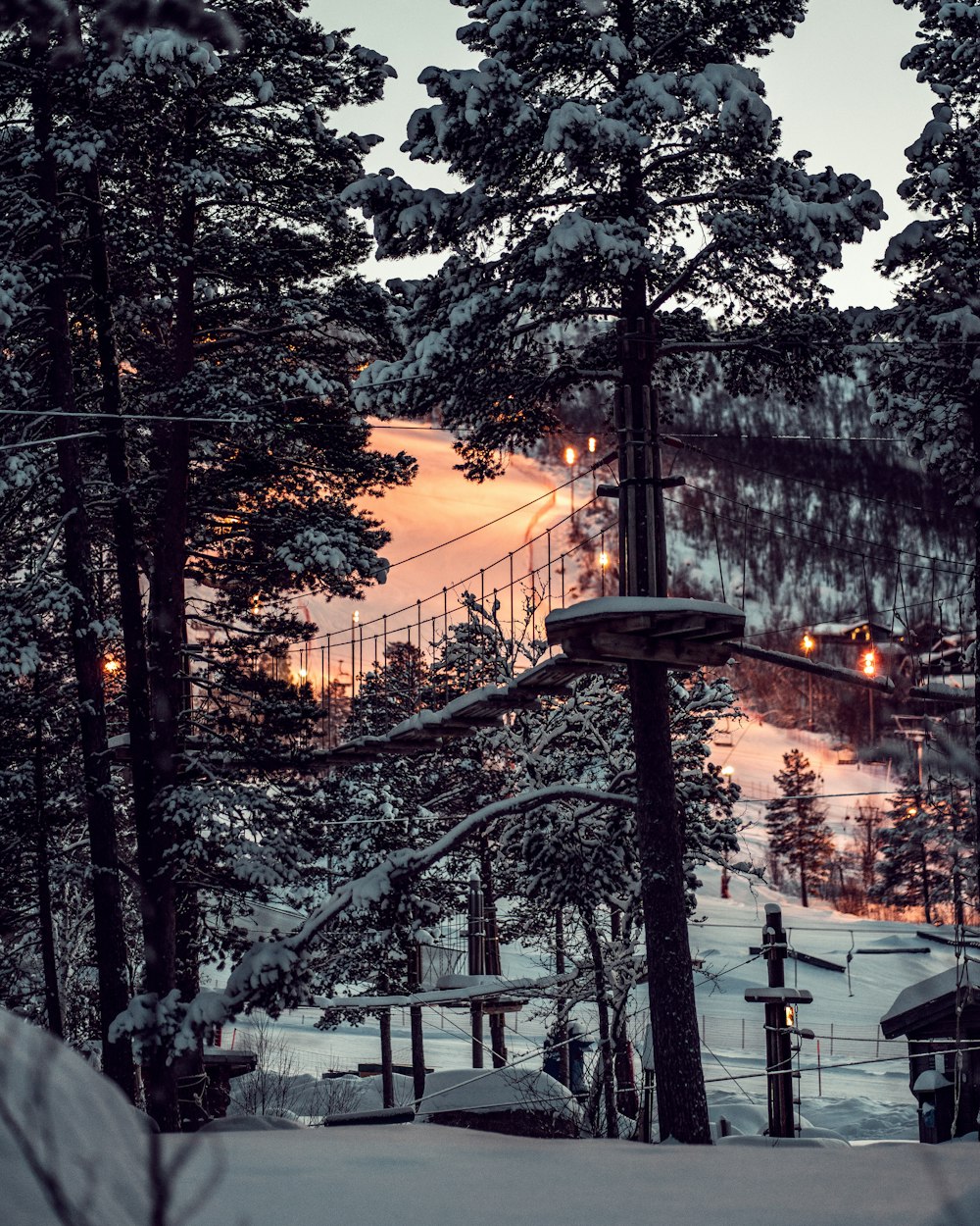 des arbres enneigés avec des ponts et des maisons