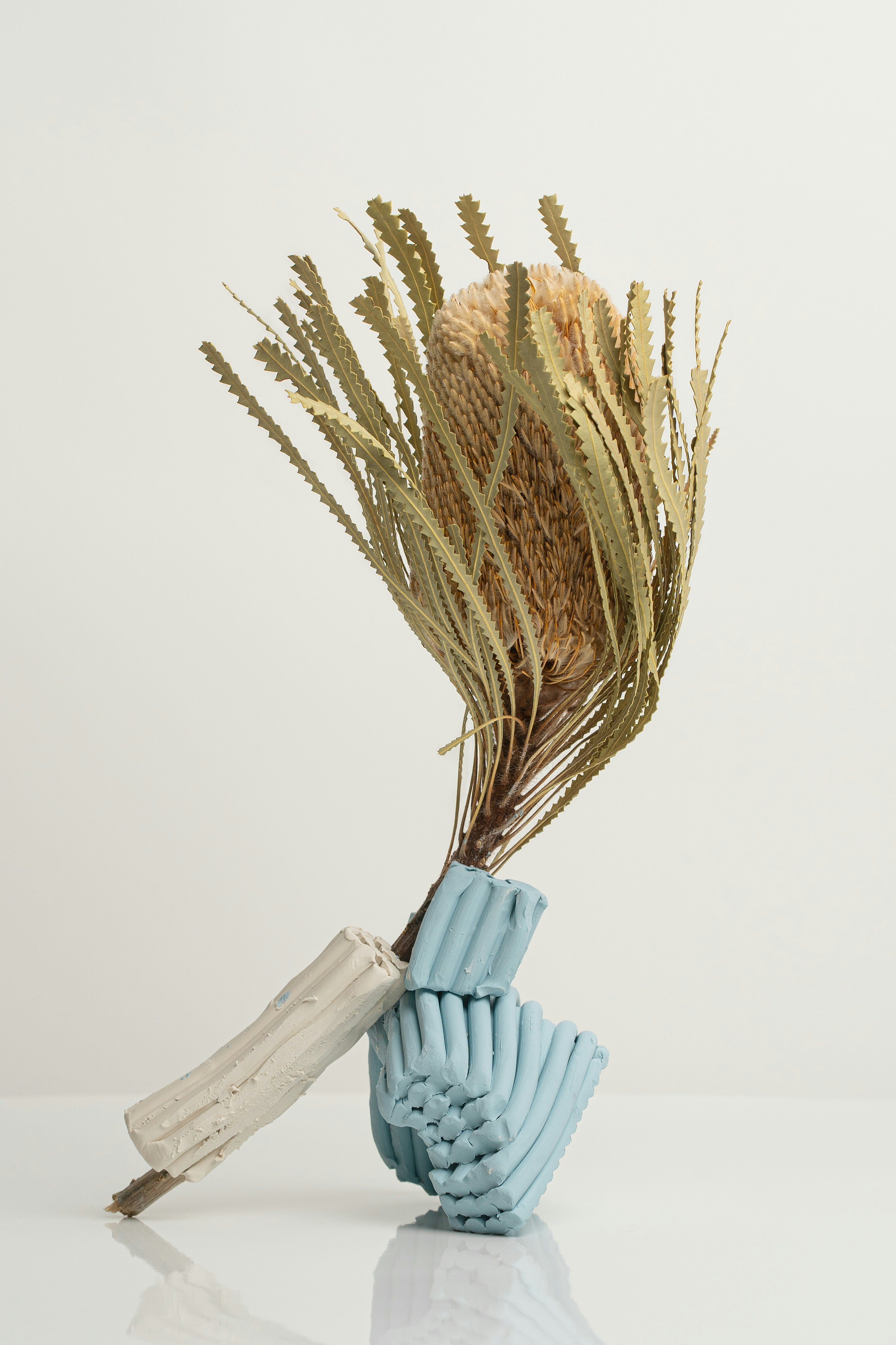 Grünes und braunes Pflanzenbalancieren auf Fragmenten