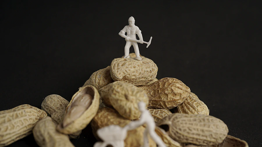 Tiny worker beside a giant peanut