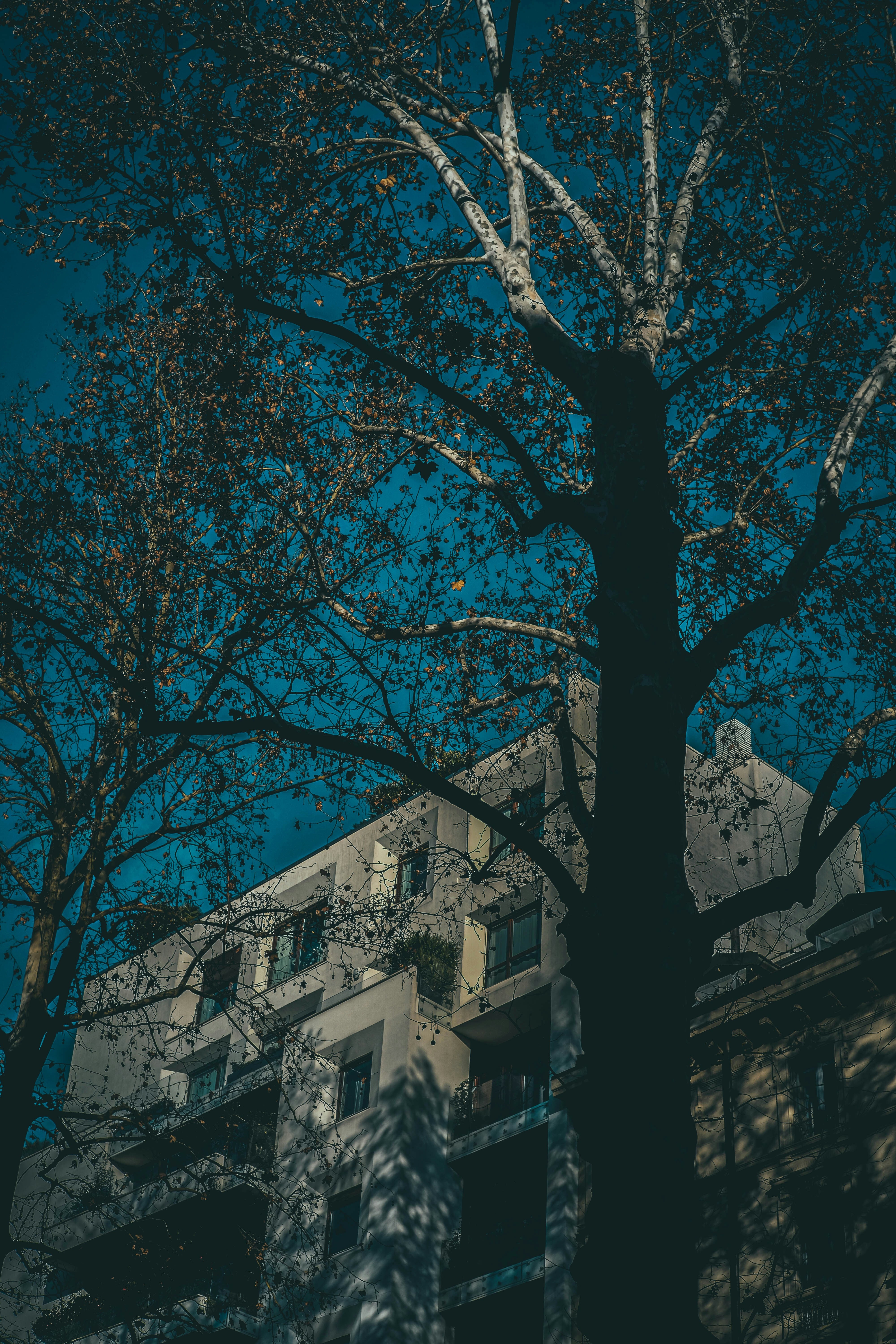 Photo by francesco_ungaro