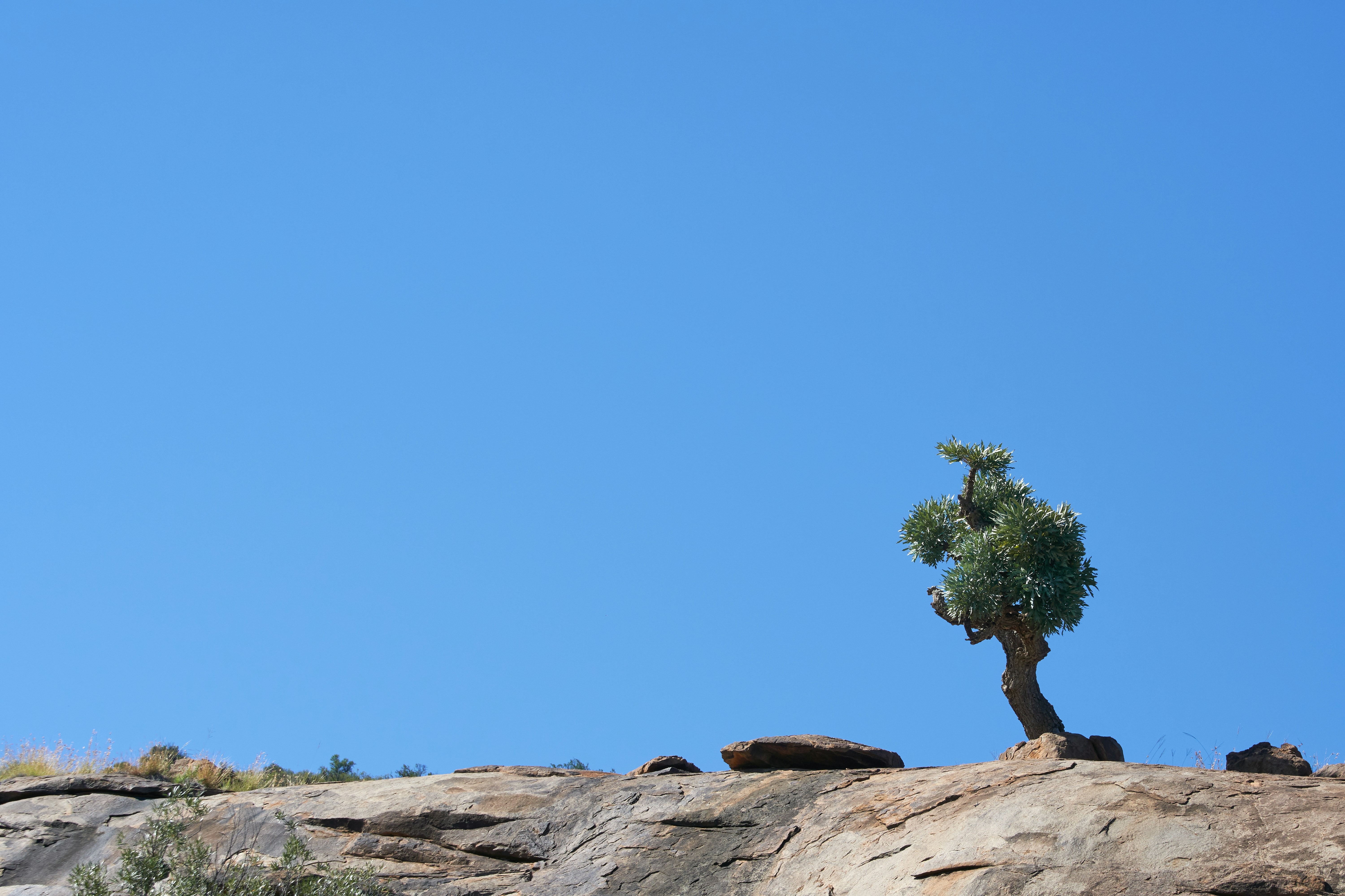 Photo by wolfgang_hasselmann