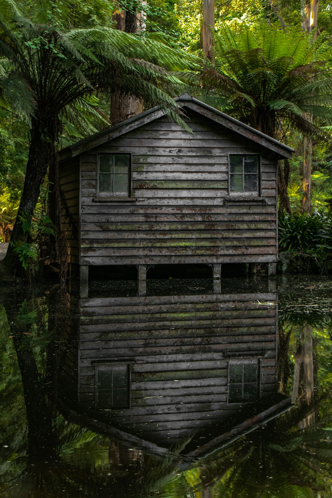 Log cabin photo spot Melbourne Australia