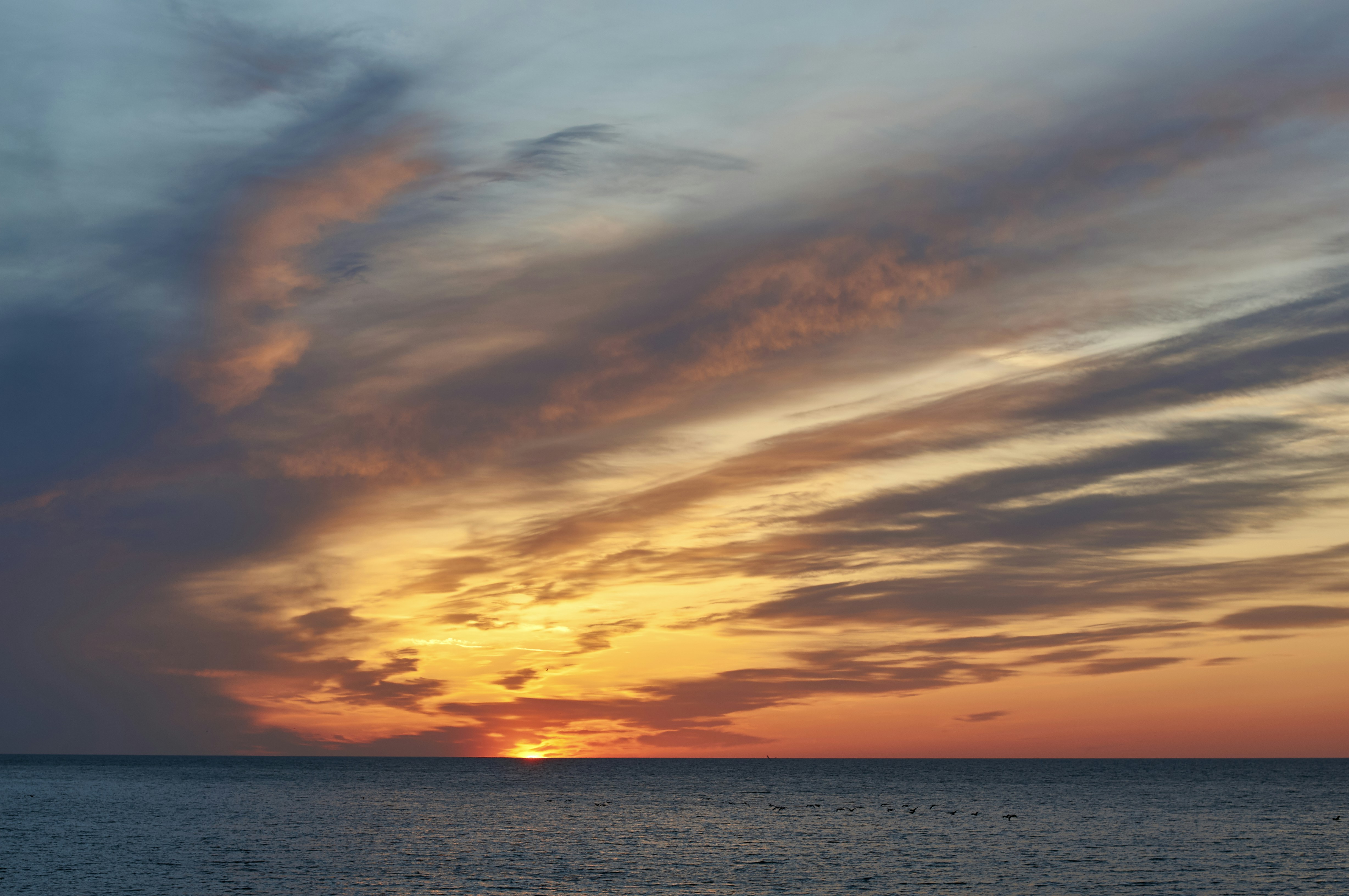 Photo by wolfgang_hasselmann