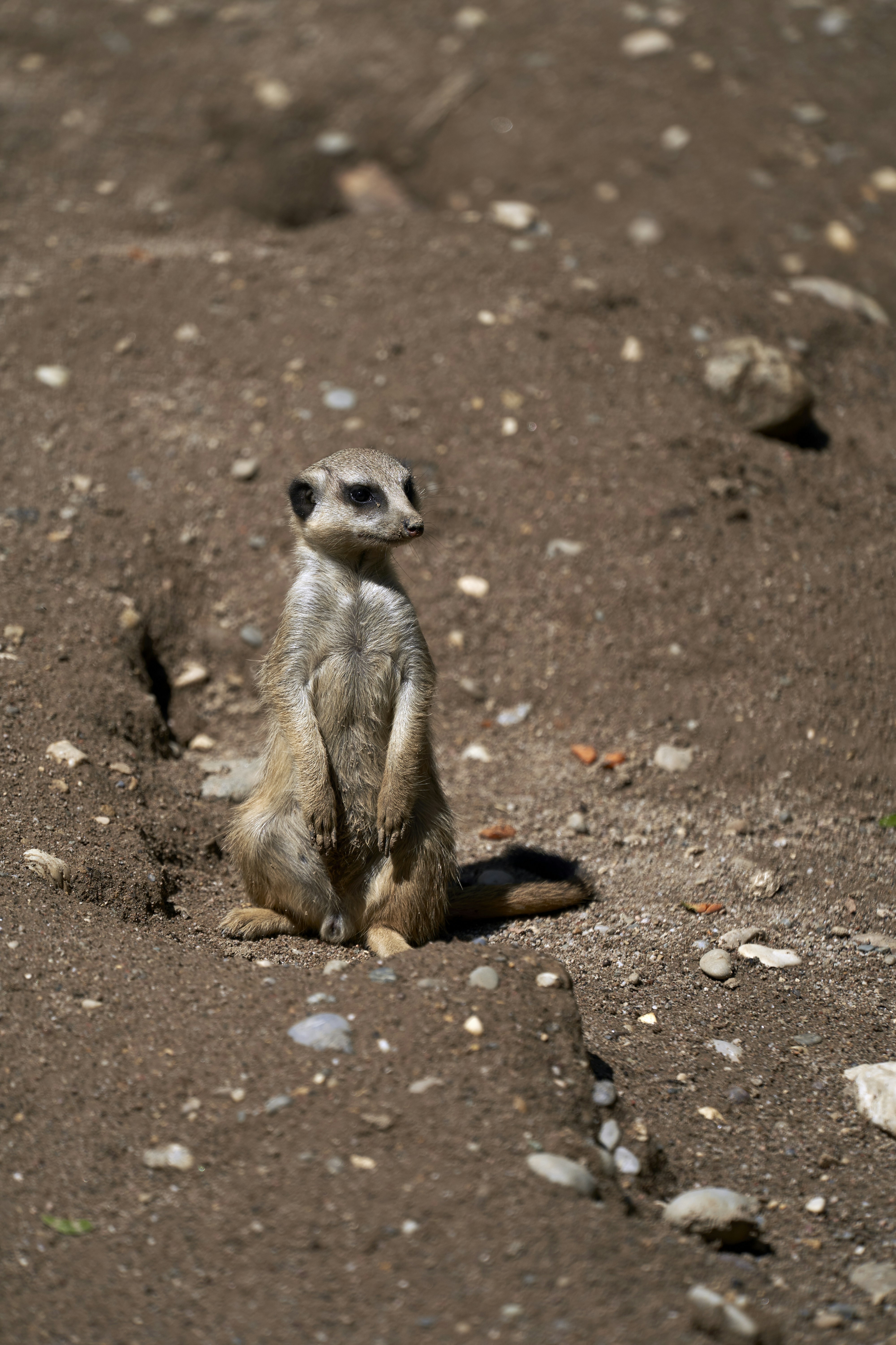 Photo by wolfgang_hasselmann