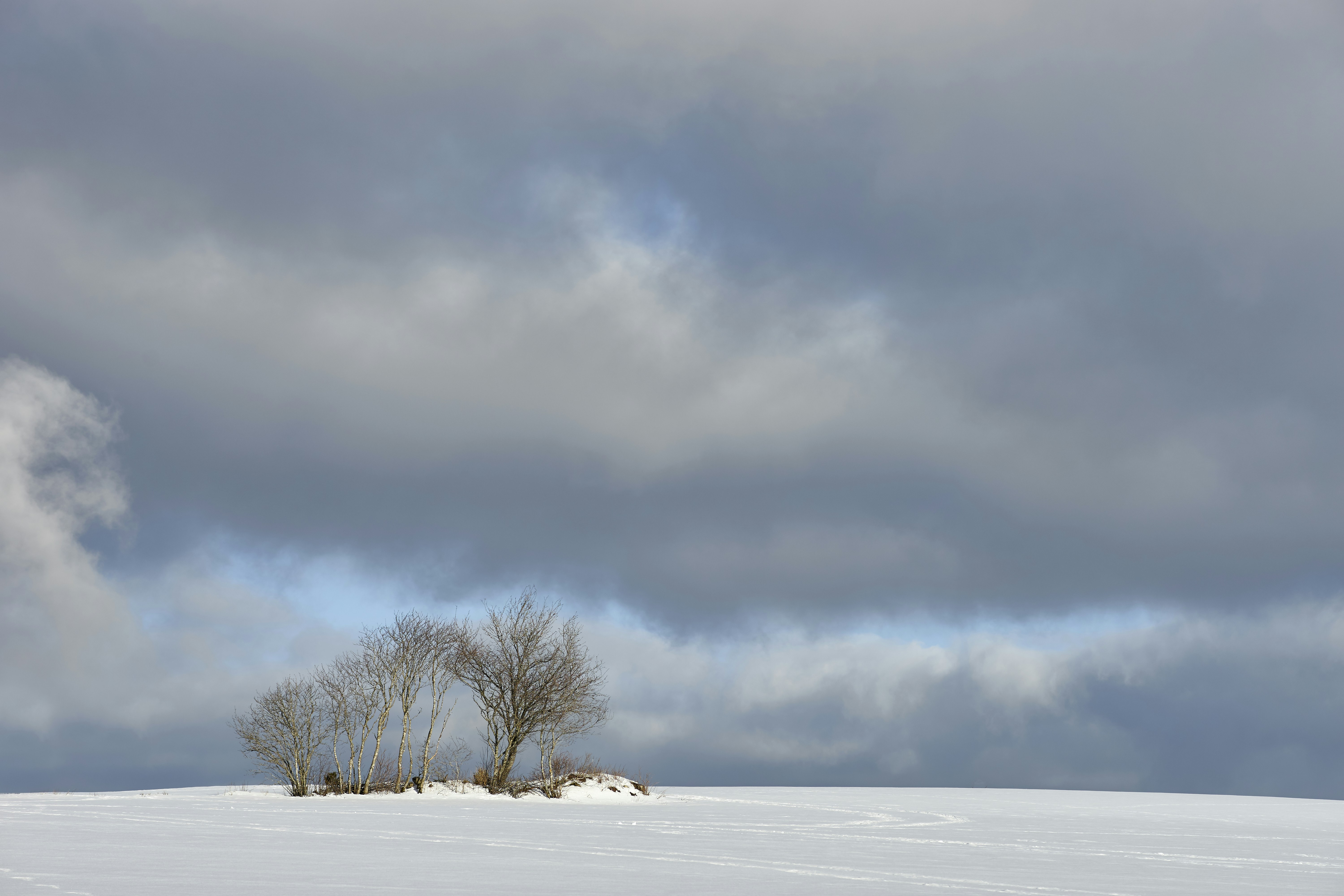 Photo by wolfgang_hasselmann