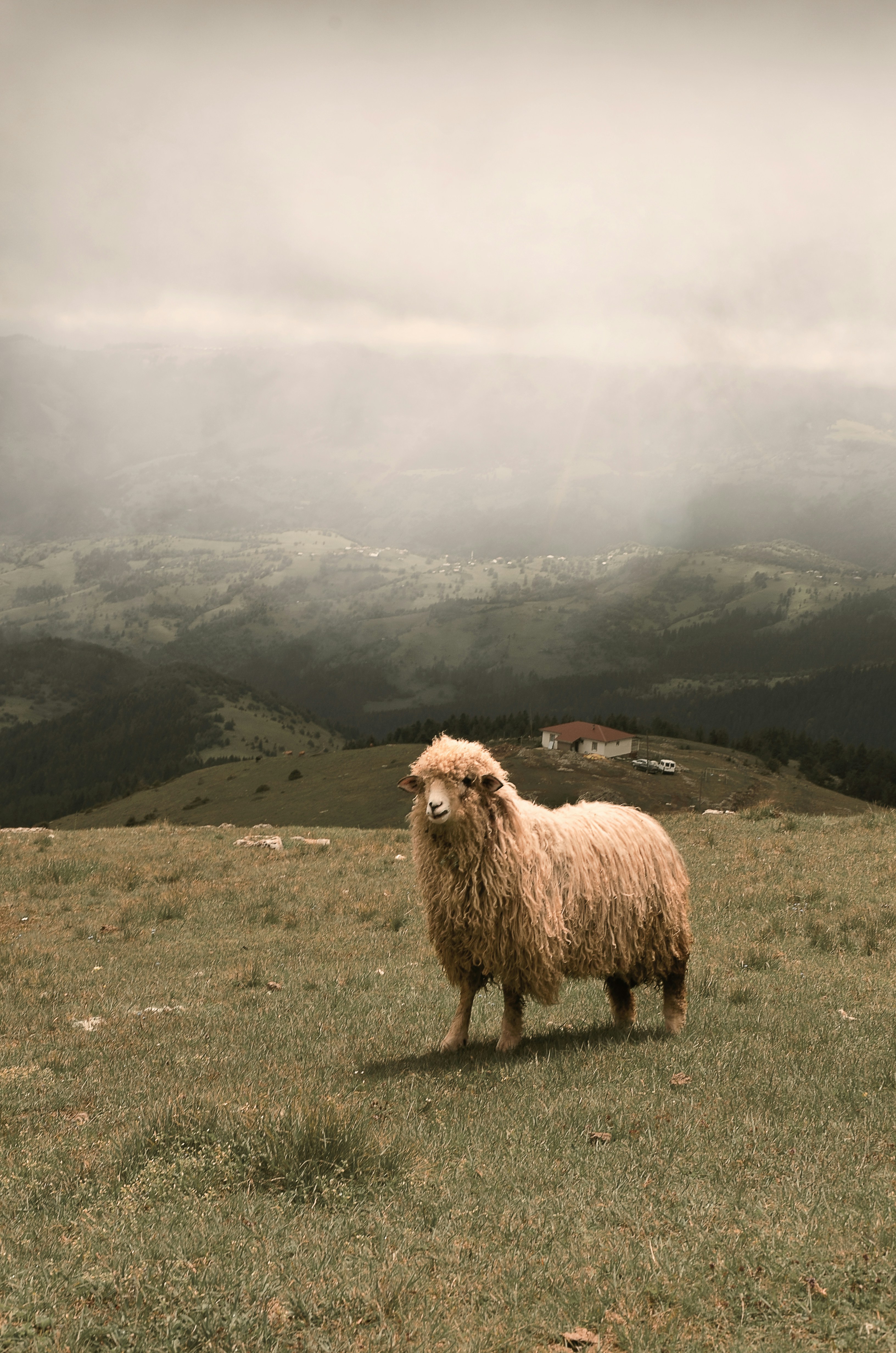 Photo by ekrulila