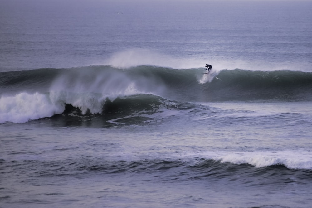 shallow focus photo of person surfing during daytime