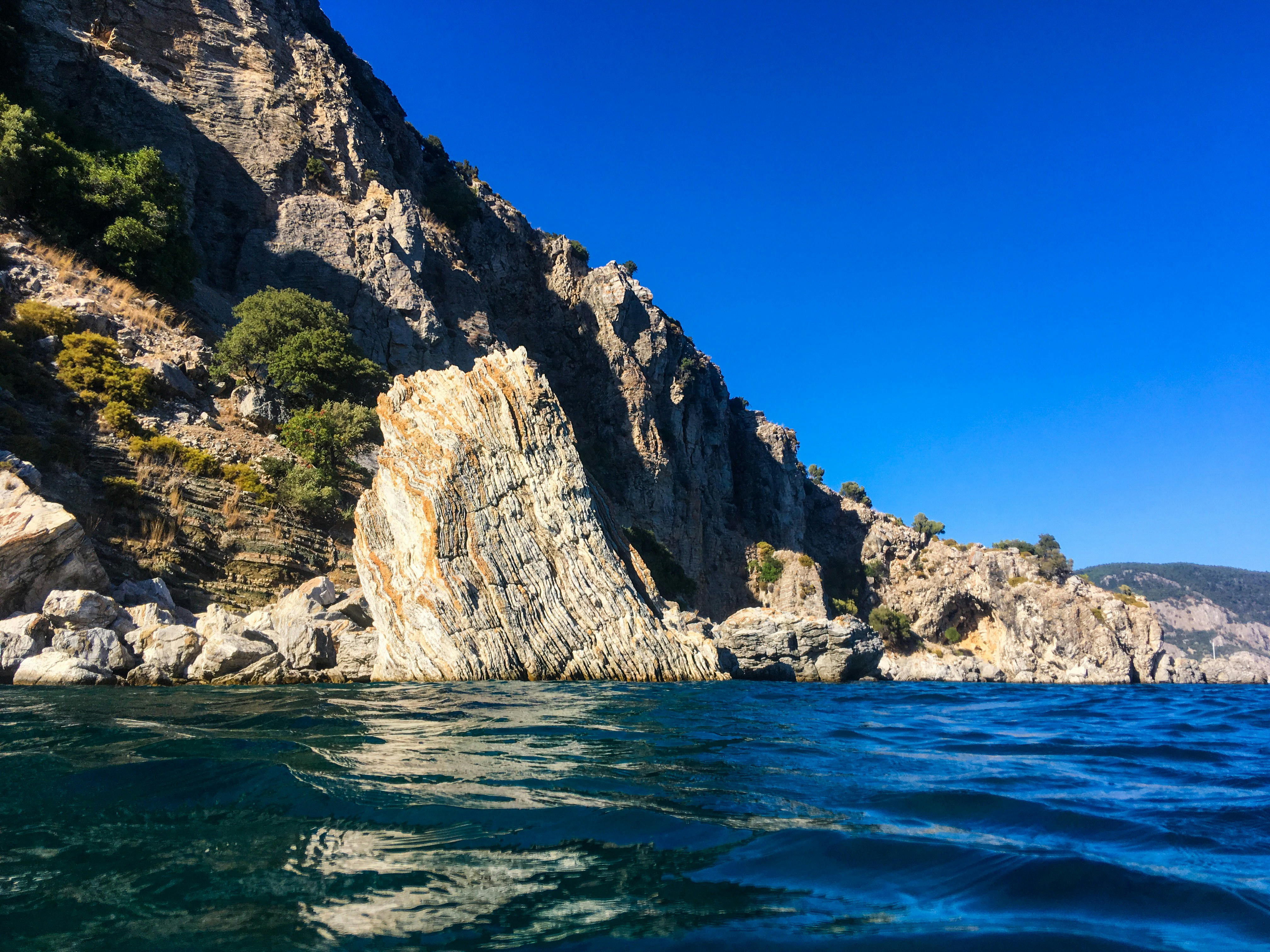 Photo by bear_lissimo