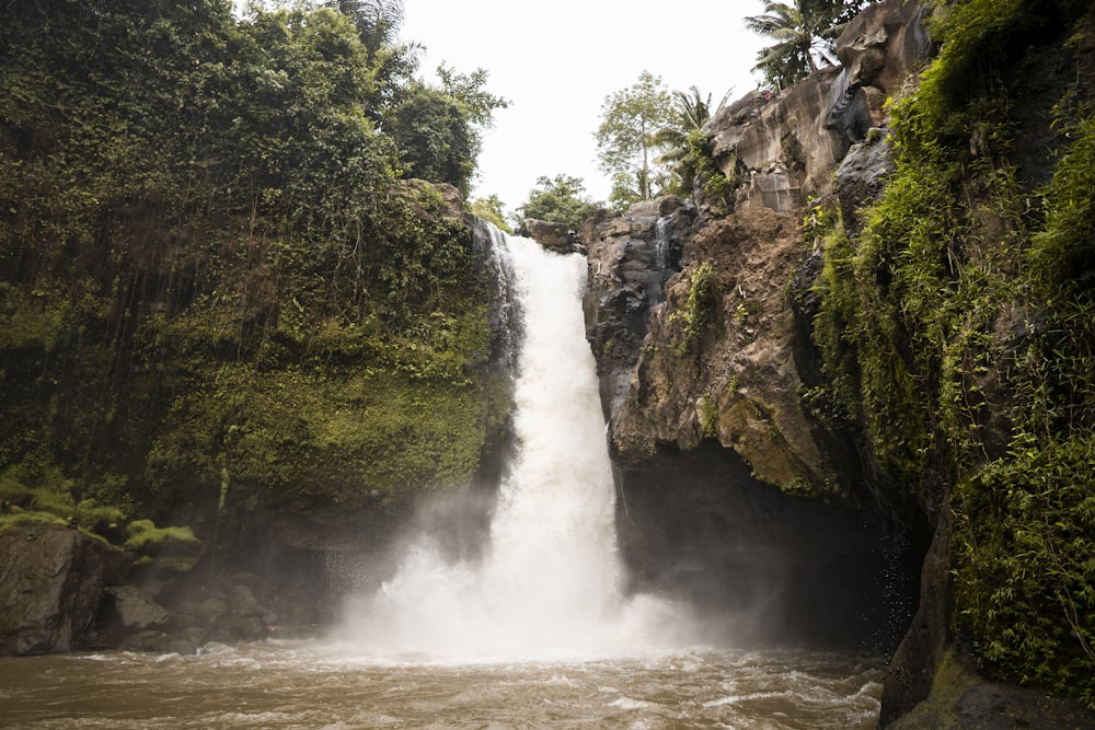 waterfalls surrounded with green trees during daytime