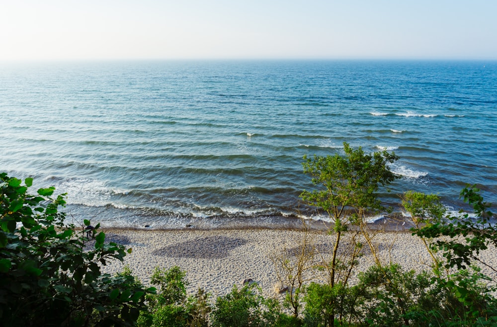 a view of the ocean from the top of a hill