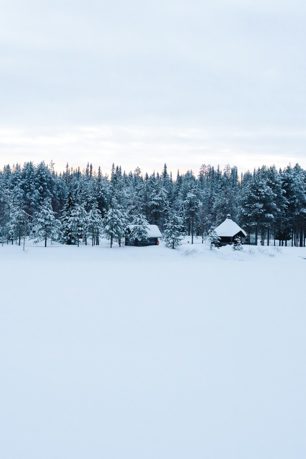 houses and pine trees on snowfield during day