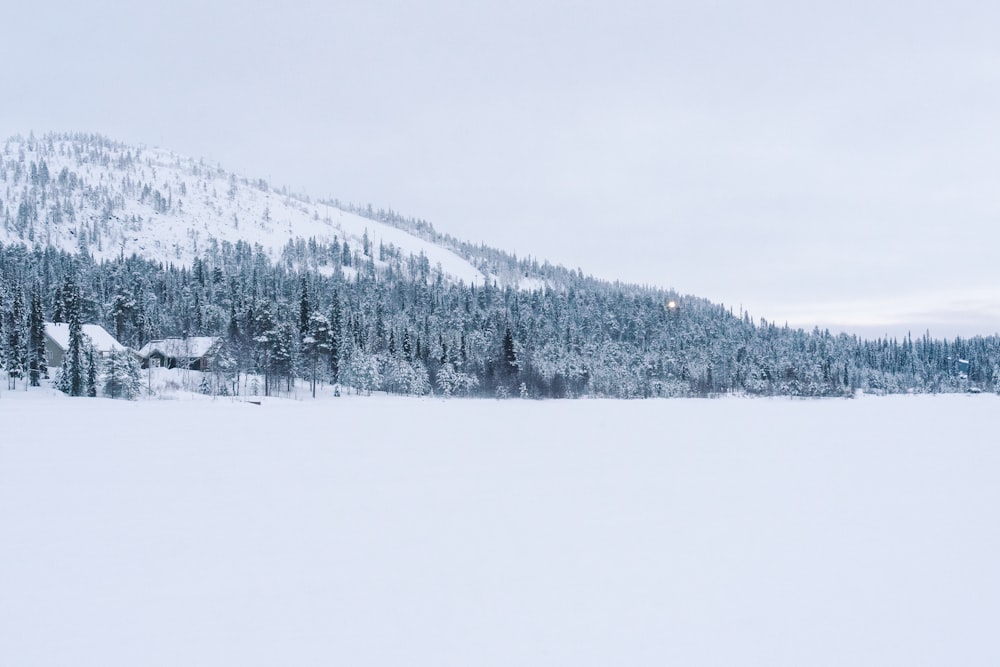 La casa, el campo y la montaña cubiertos de nieve durante el día