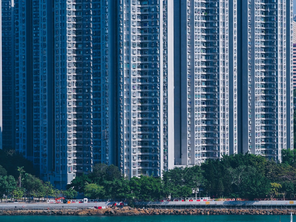 blue high-rise buildings near body of water