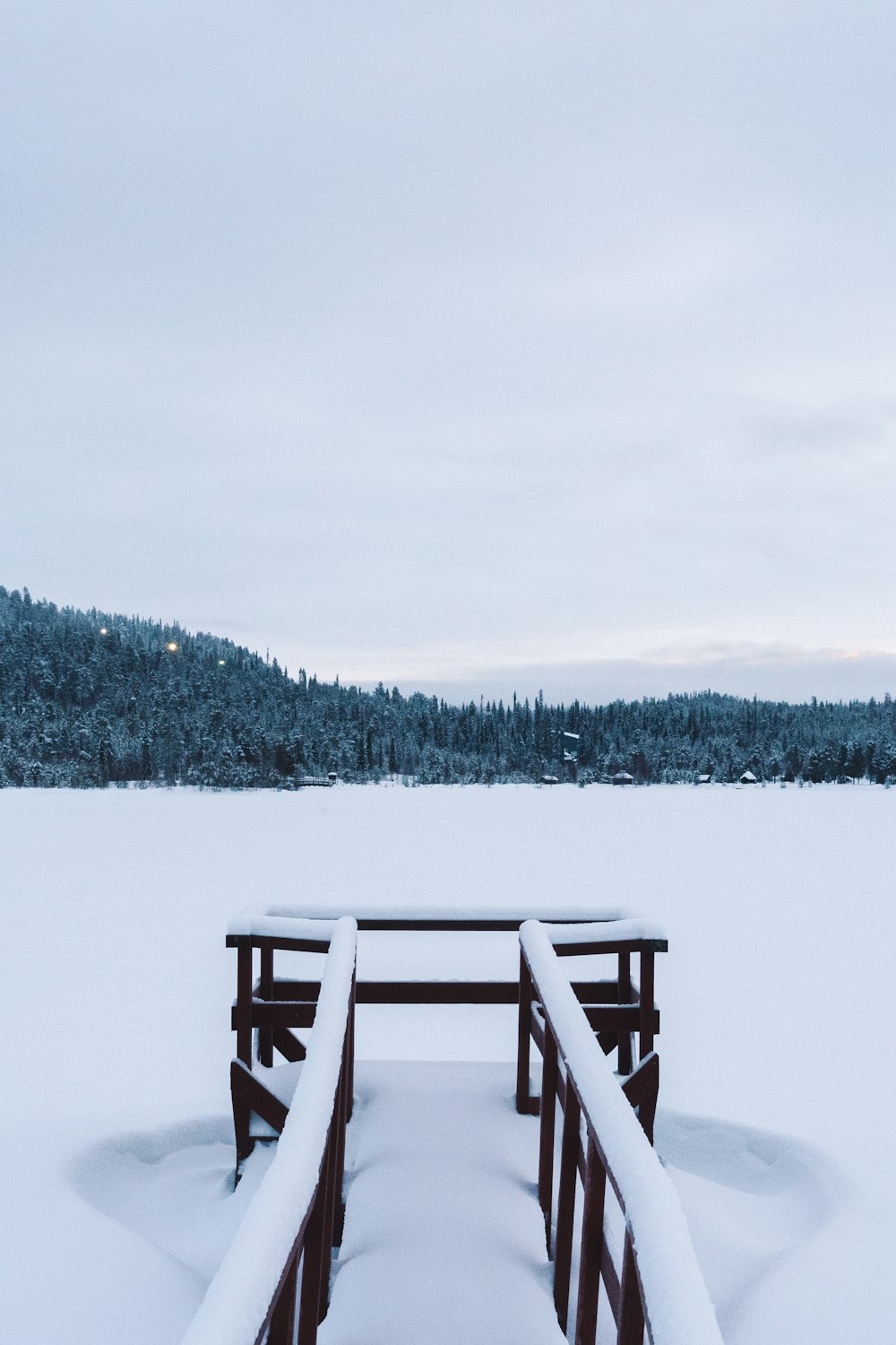 brown wooden beach dock covered with white snow