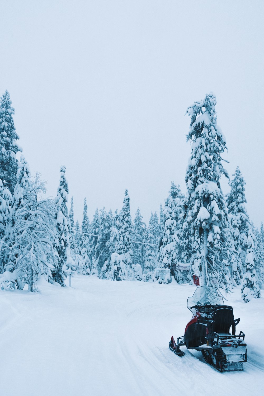 snow covered trees during daytime