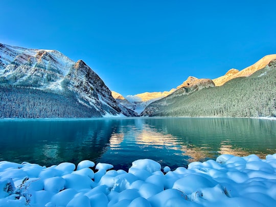 mountains, forest, and body of water in Fairmont Chateau Lake Louise Canada