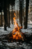 A warm campfire crackling beside a canvas tent nestled among pine trees.