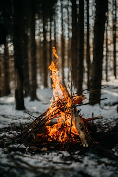 A warm, bright campfire burns among a structured pile of sticks and logs. The flames flicker upward in a snowy forest setting, surrounded by tall trees and soft patches of snow on the ground.