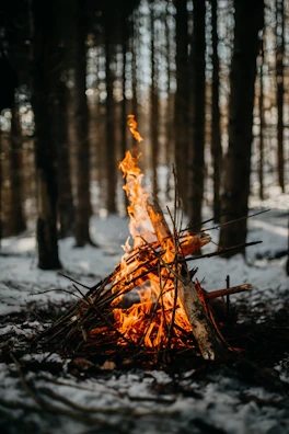 A warm campfire crackling beside a canvas tent nestled among pine trees.