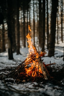 A warm, bright campfire burns among a structured pile of sticks and logs. The flames flicker upward in a snowy forest setting, surrounded by tall trees and soft patches of snow on the ground.