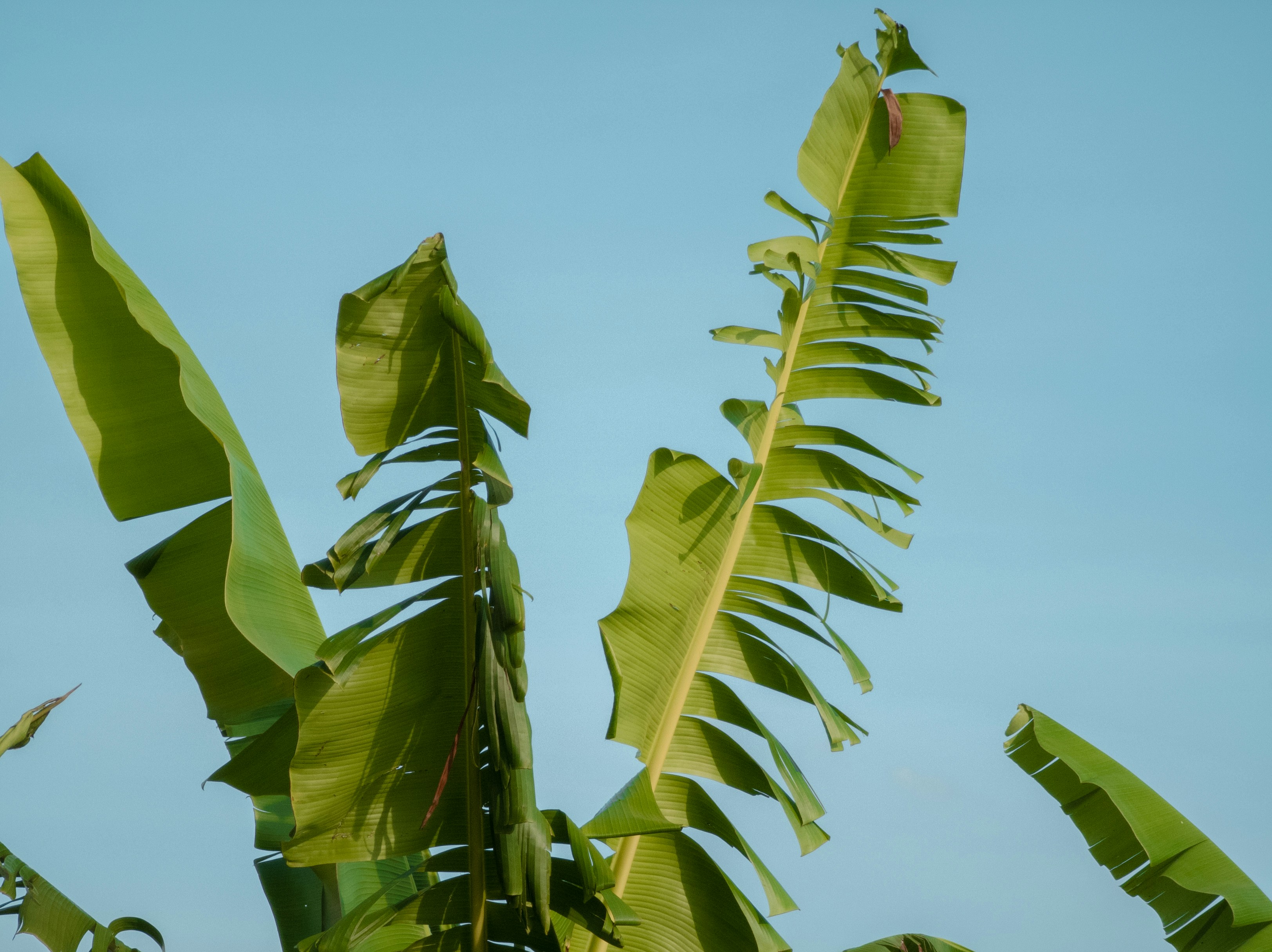 Photo by vitor_camilo