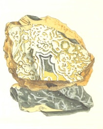 An illustration of a geological formation or rock with intricate patterns and textures. The rock features a combination of earthy tones, showcasing inner layers with swirls and streaks in white, yellow, green, and black.