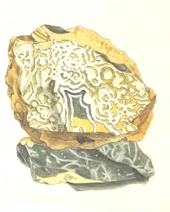 An illustration of a geological formation or rock with intricate patterns and textures. The rock features a combination of earthy tones, showcasing inner layers with swirls and streaks in white, yellow, green, and black.
