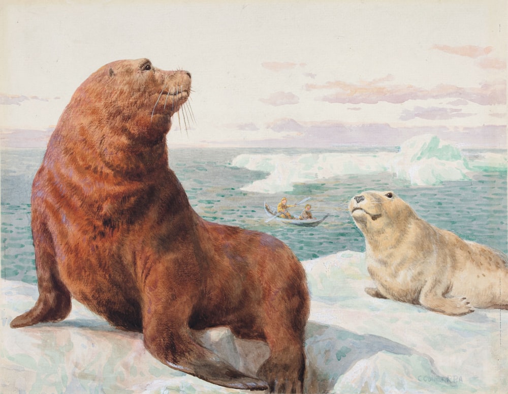 a painting of two sea lions on ice with a boat in the background