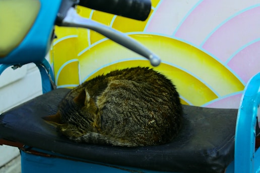 A tabby cat is curled up sleeping on a black seat, situated within what appears to be a colorful scooter setting. The background includes a bright and vibrant pattern with yellow and pink hues, adding a cheerful element to the scene.