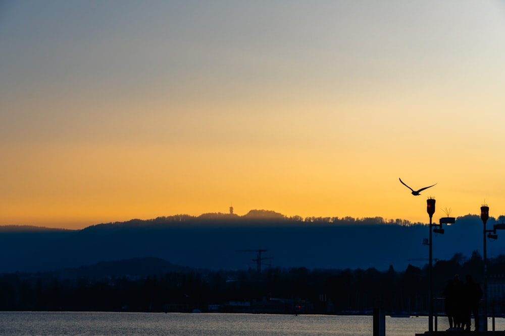 body of water duting golden hour